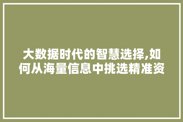 大数据时代的智慧选择,如何从海量信息中挑选精准资源