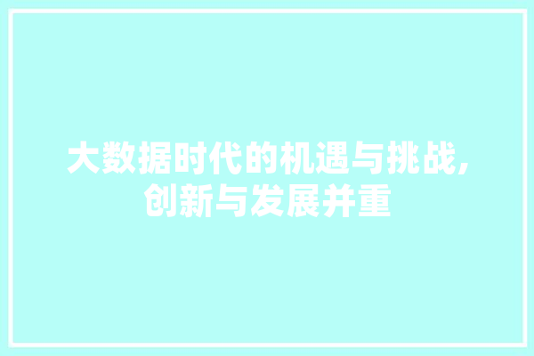 大数据时代的机遇与挑战,创新与发展并重
