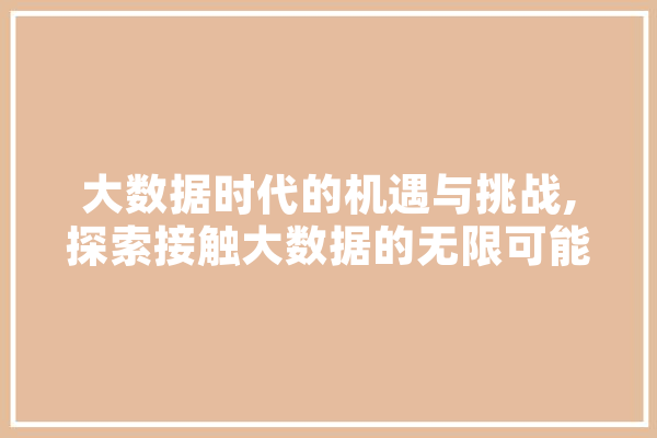 大数据时代的机遇与挑战,探索接触大数据的无限可能 云服务