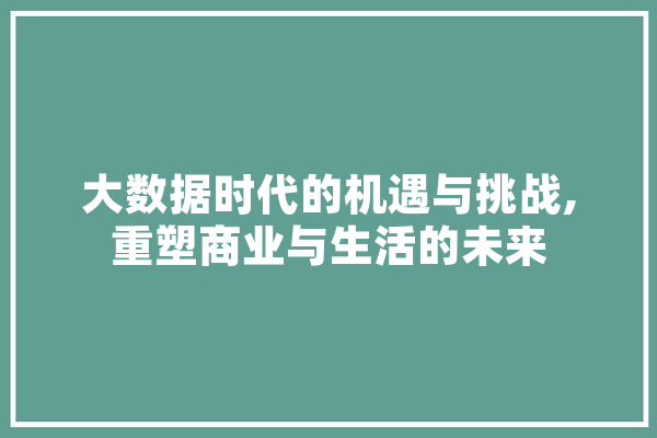 大数据时代的机遇与挑战,重塑商业与生活的未来