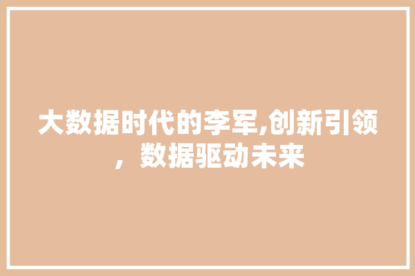 大数据时代的李军,创新引领，数据驱动未来