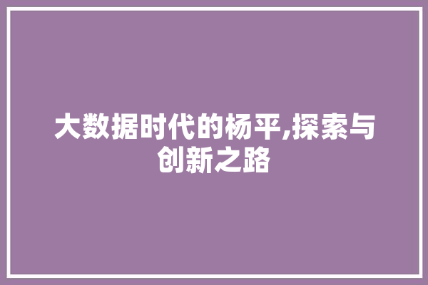 大数据时代的杨平,探索与创新之路