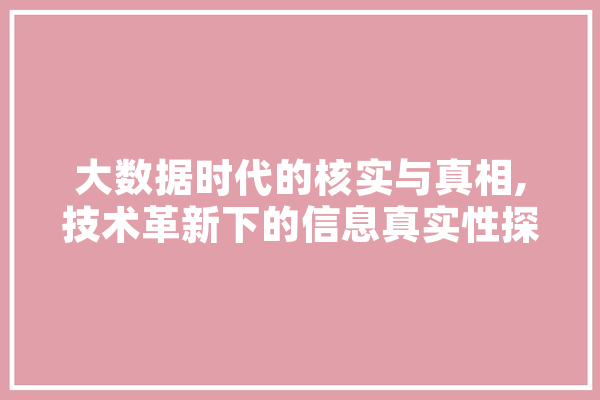 大数据时代的核实与真相,技术革新下的信息真实性探索