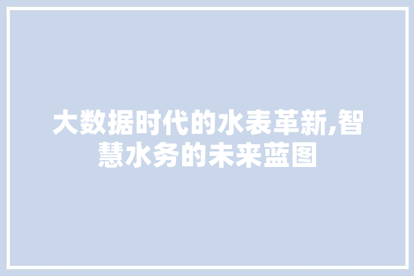 大数据时代的水表革新,智慧水务的未来蓝图