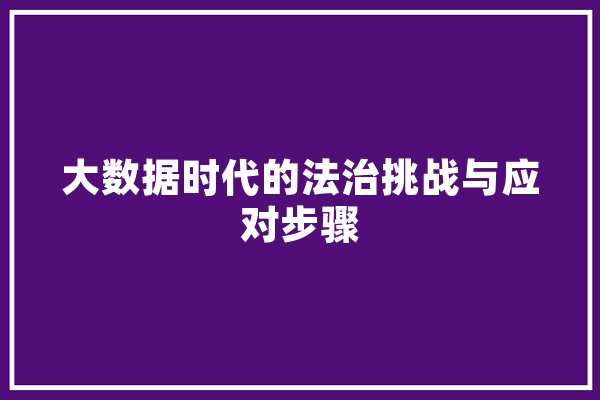 大数据时代的法治挑战与应对步骤