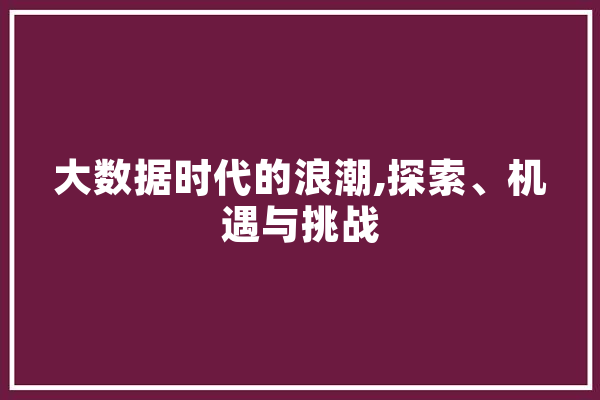 大数据时代的浪潮,探索、机遇与挑战 AI简讯