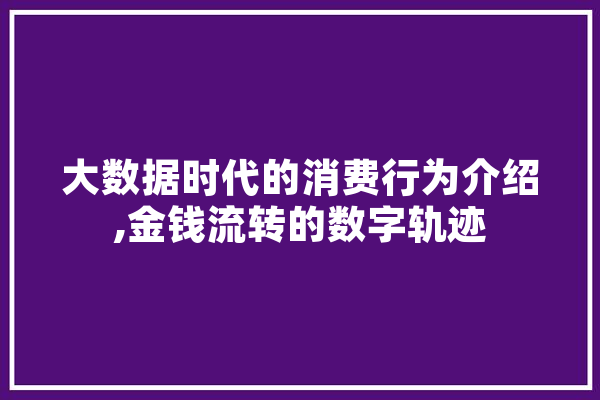 大数据时代的消费行为介绍,金钱流转的数字轨迹
