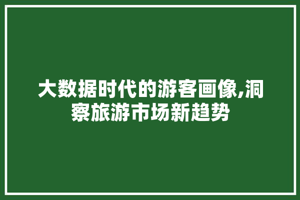 大数据时代的游客画像,洞察旅游市场新趋势