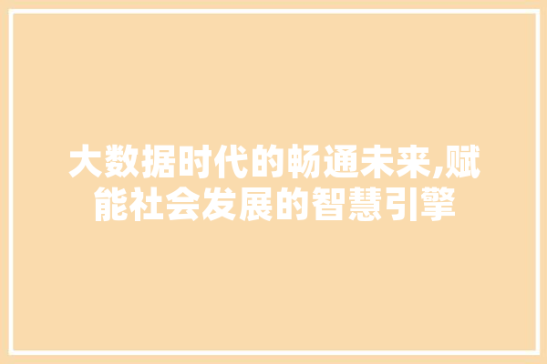 大数据时代的畅通未来,赋能社会发展的智慧引擎