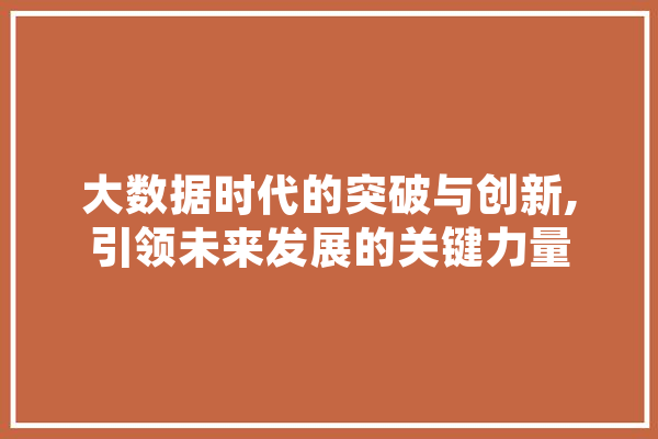 大数据时代的突破与创新,引领未来发展的关键力量 科技快讯