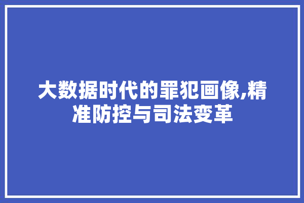 大数据时代的罪犯画像,精准防控与司法变革