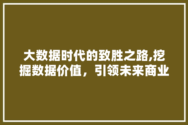 大数据时代的致胜之路,挖掘数据价值，引领未来商业变革