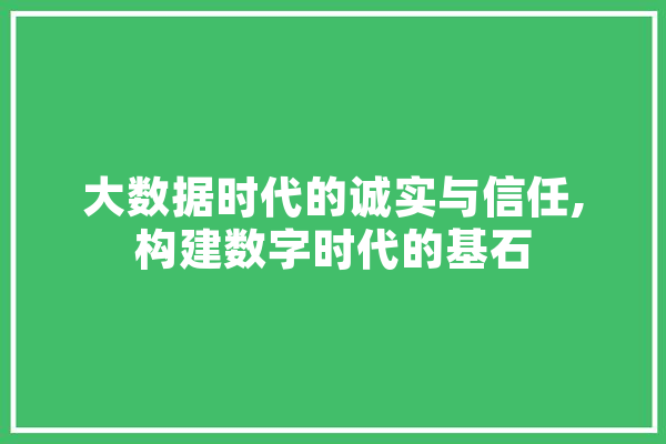 大数据时代的诚实与信任,构建数字时代的基石