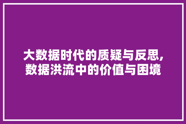 大数据时代的质疑与反思,数据洪流中的价值与困境