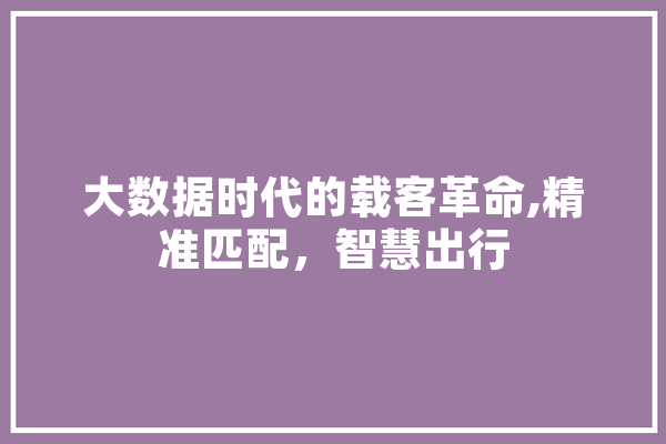 大数据时代的载客革命,精准匹配，智慧出行 科技快讯