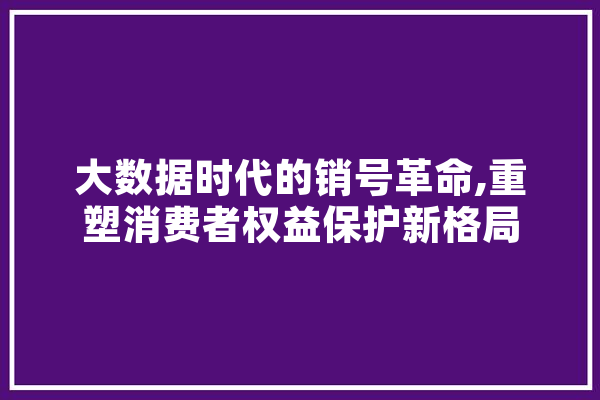 大数据时代的销号革命,重塑消费者权益保护新格局 计算机