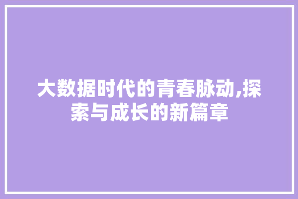 大数据时代的青春脉动,探索与成长的新篇章