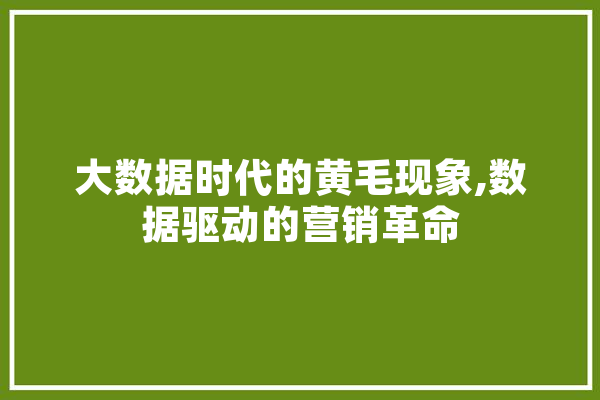 大数据时代的黄毛现象,数据驱动的营销革命