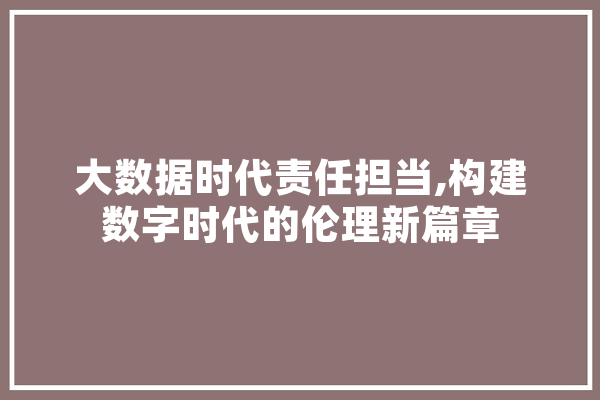 大数据时代责任担当,构建数字时代的伦理新篇章