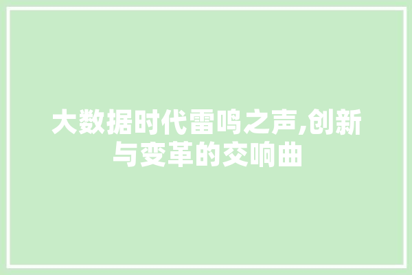 大数据时代雷鸣之声,创新与变革的交响曲 文字写作