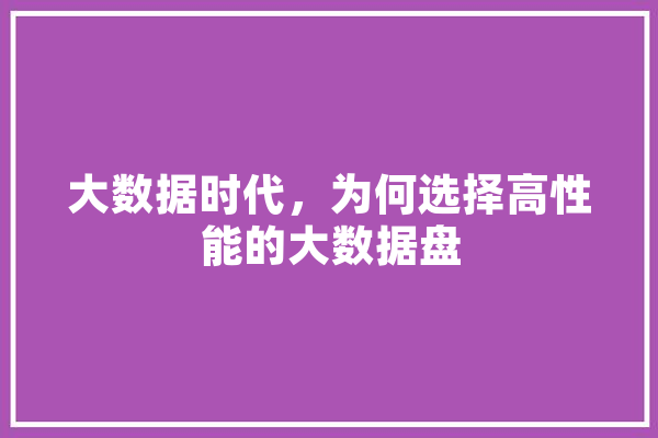 大数据时代，为何选择高性能的大数据盘