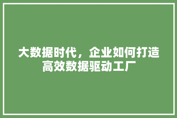 大数据时代，企业如何打造高效数据驱动工厂