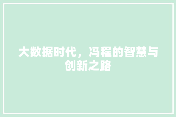 大数据时代，冯程的智慧与创新之路