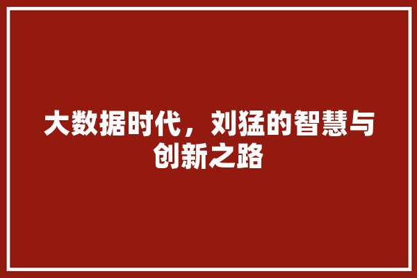 大数据时代，刘猛的智慧与创新之路