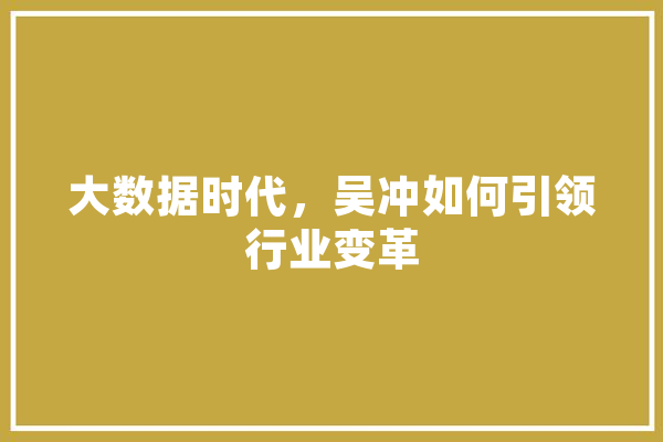 大数据时代，吴冲如何引领行业变革 智能助手