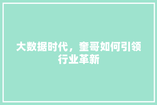 大数据时代，奎哥如何引领行业革新