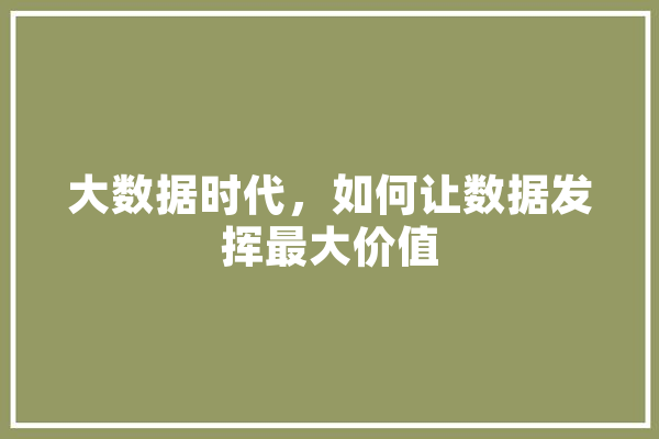 大数据时代，如何让数据发挥最大价值 绘影字幕