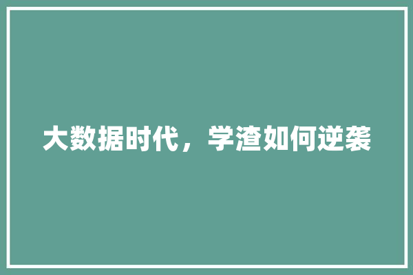 大数据时代，学渣如何逆袭
