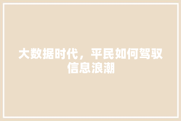 大数据时代，平民如何驾驭信息浪潮 文字写作