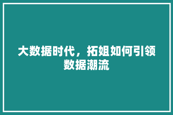大数据时代，拓姐如何引领数据潮流