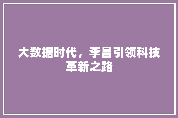 大数据时代，李昌引领科技革新之路 计算机
