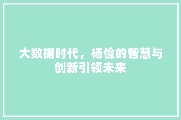 大数据时代，杨俭的智慧与创新引领未来 智能写作