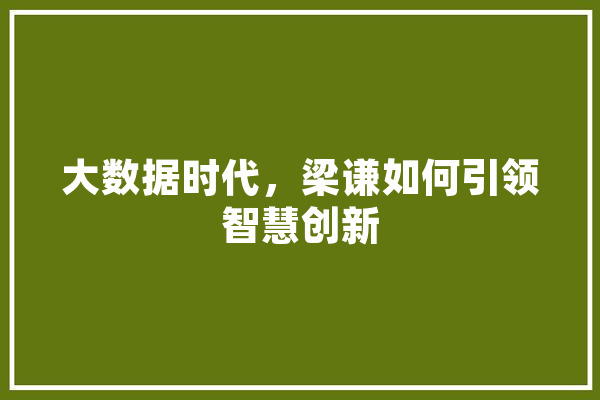 大数据时代，梁谦如何引领智慧创新 智能写作