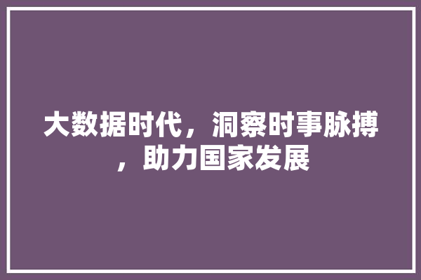 大数据时代，洞察时事脉搏，助力国家发展 智能写作