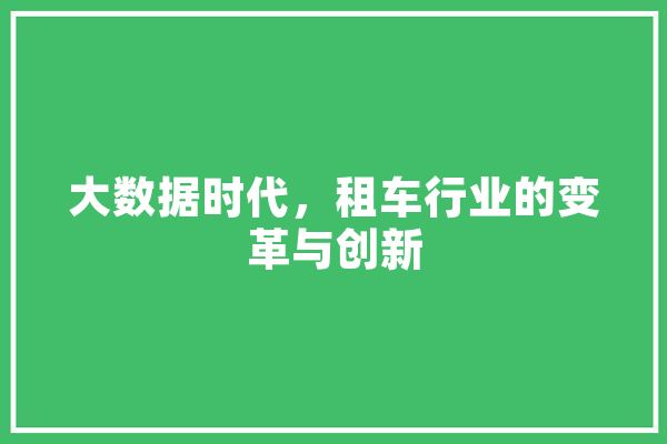 大数据时代，租车行业的变革与创新