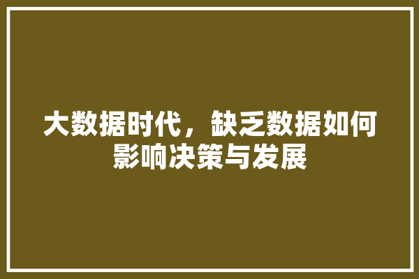 大数据时代，缺乏数据如何影响决策与发展