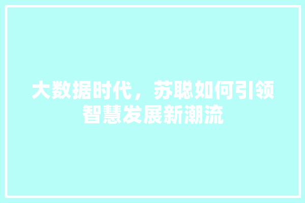 大数据时代，苏聪如何引领智慧发展新潮流