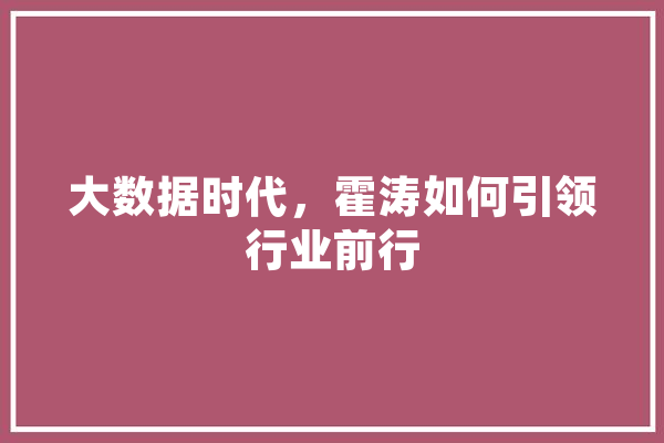 大数据时代，霍涛如何引领行业前行