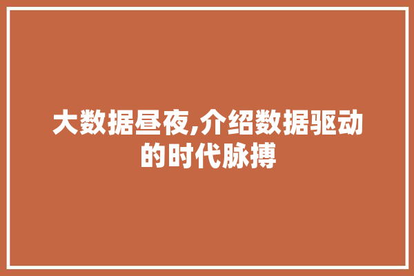 大数据昼夜,介绍数据驱动的时代脉搏