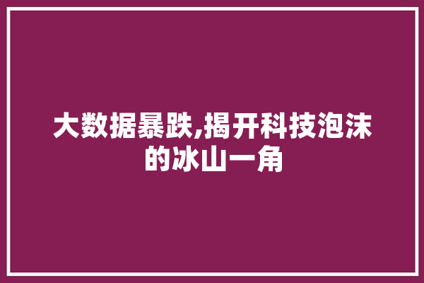 大数据暴跌,揭开科技泡沫的冰山一角