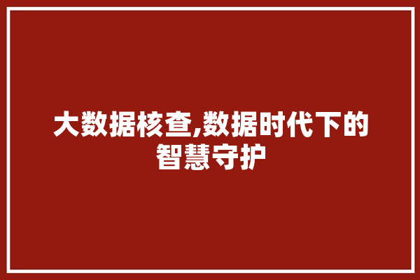 大数据核查,数据时代下的智慧守护 云服务