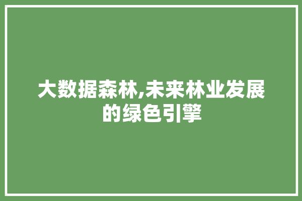 大数据森林,未来林业发展的绿色引擎