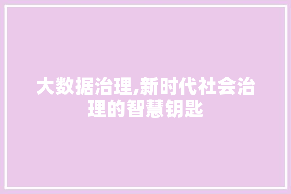 大数据治理,新时代社会治理的智慧钥匙