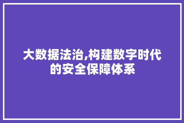 大数据法治,构建数字时代的安全保障体系 云服务