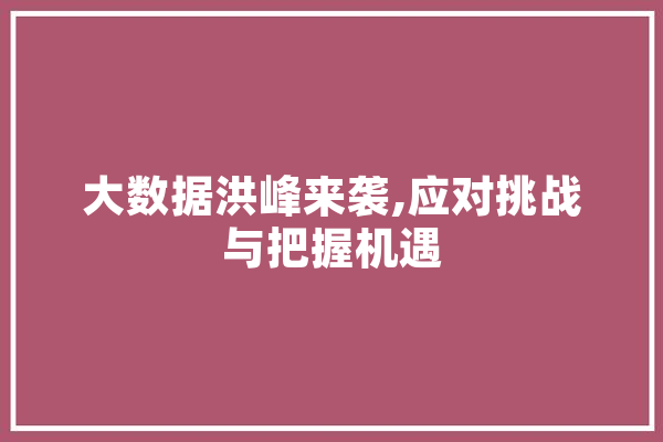大数据洪峰来袭,应对挑战与把握机遇 科技快讯