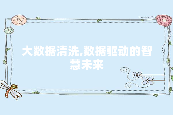 大数据清洗,数据驱动的智慧未来